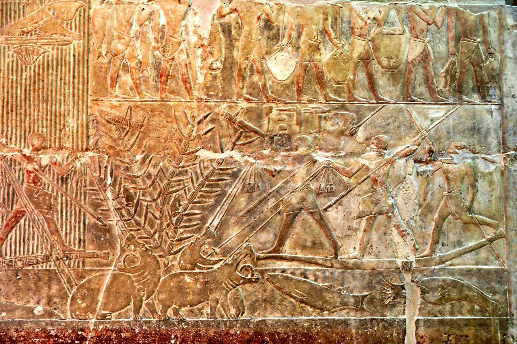202609036a99429d55d13.jpg