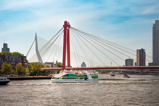 Rotterdamse havenrondvaart