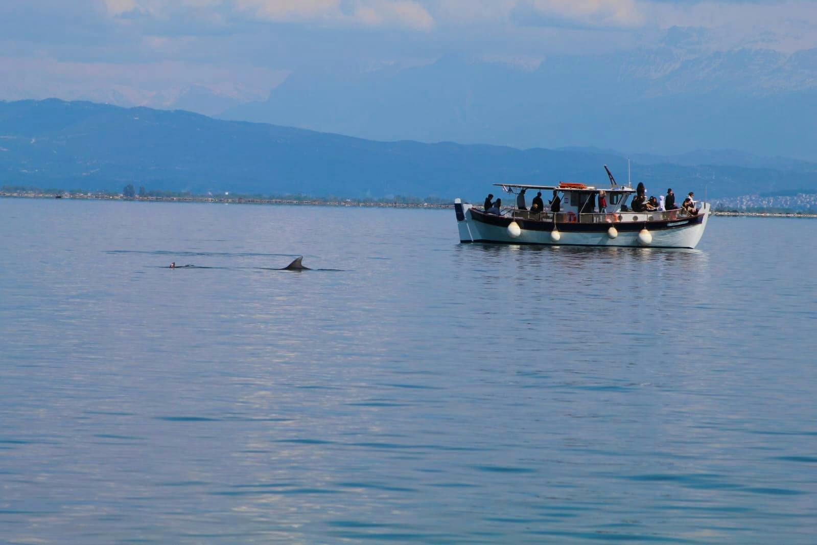 Amvrakikos Gulf wildlife cruise with swim stops