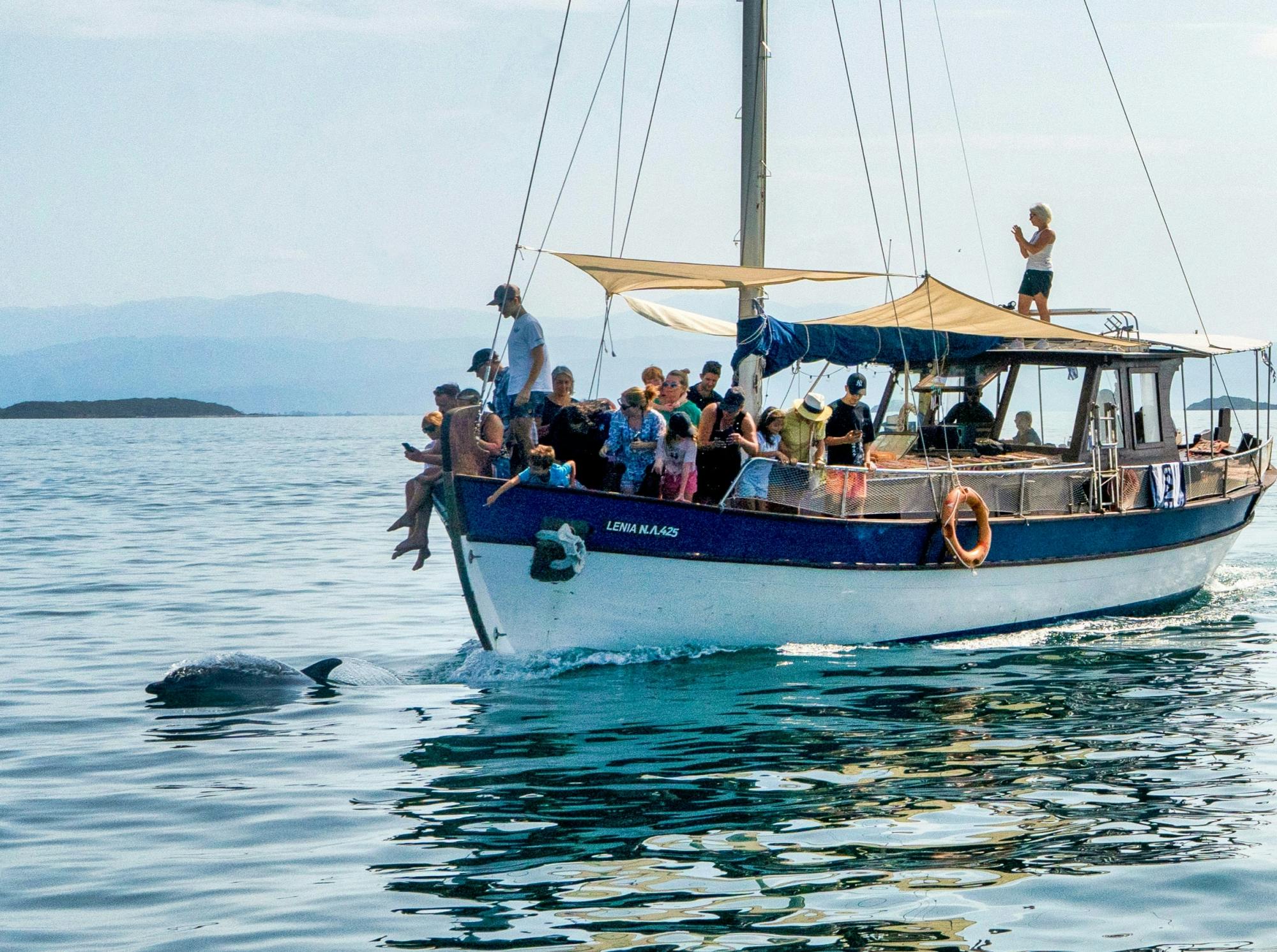 Amvrakikos Gulf wildlife cruise with swim stops