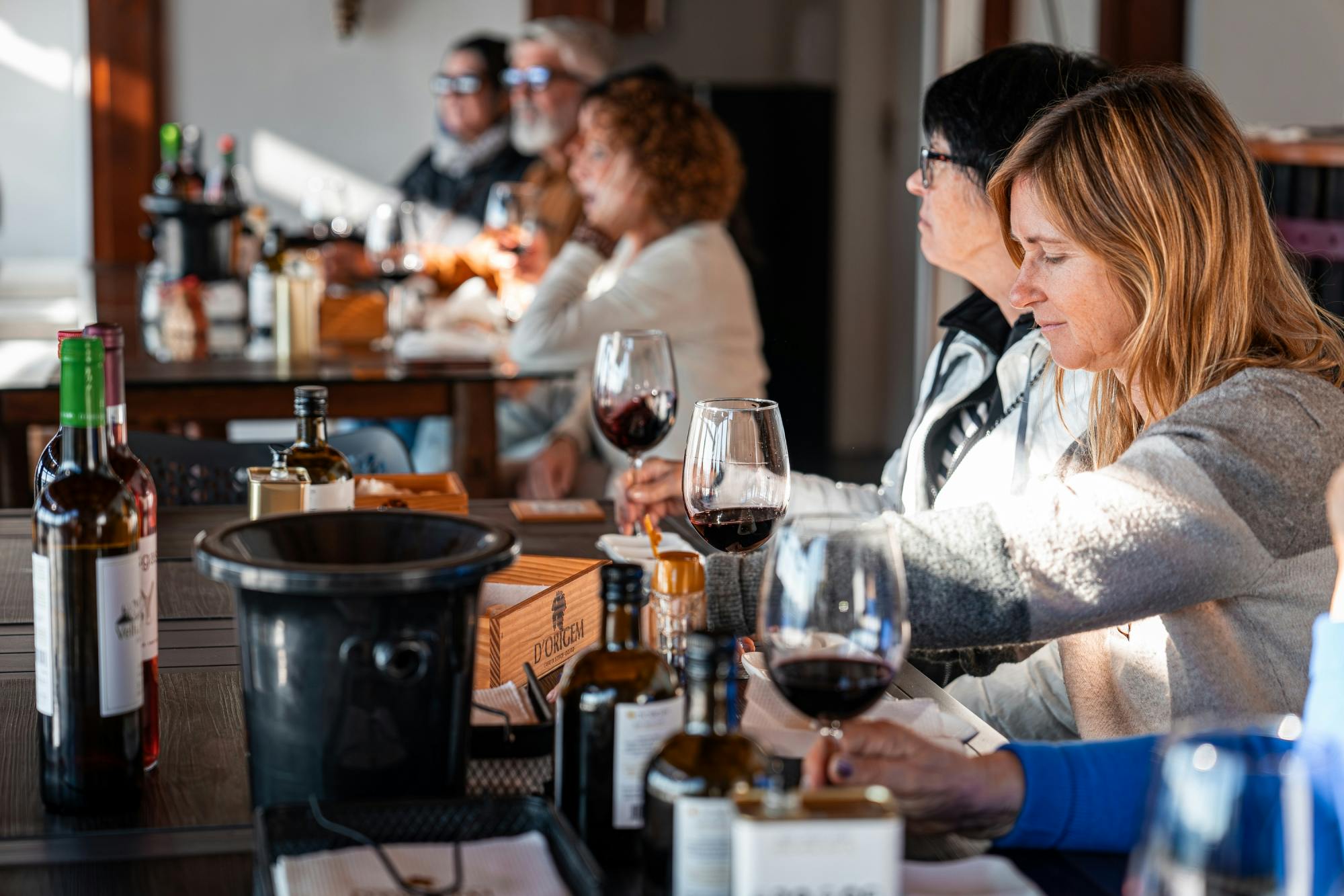 Douro Valley wine tour with 2 wineries, lunch and river cruise
