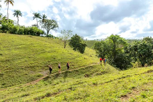 Half-day small group walking tour in the Anamuya Mountains