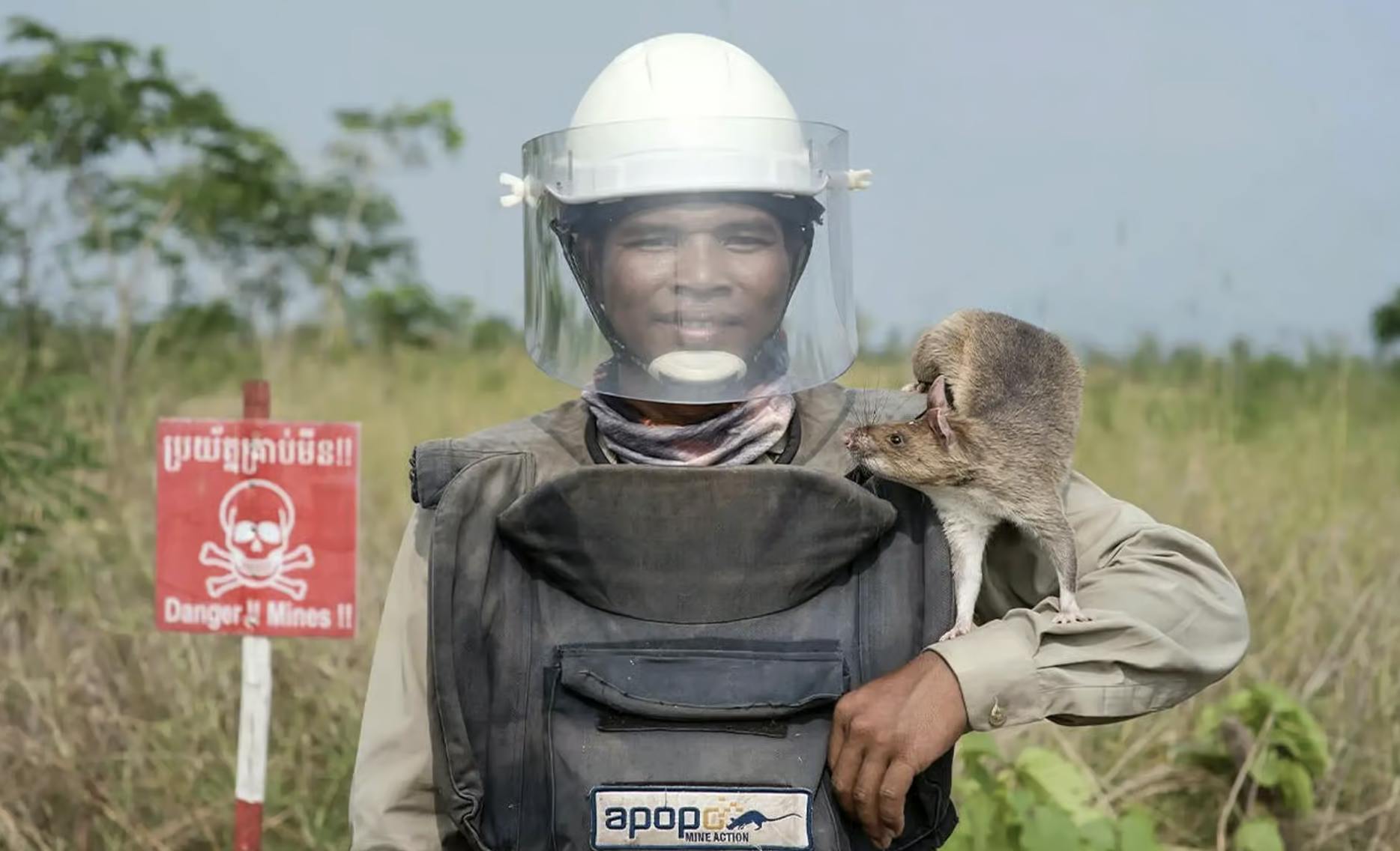 Siem Reap tour with HeroRATs and Lotus Silk Farm by tuk-tuk
