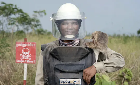 Siem Reap tour with HeroRATs and Lotus Silk Farm by tuk-tuk