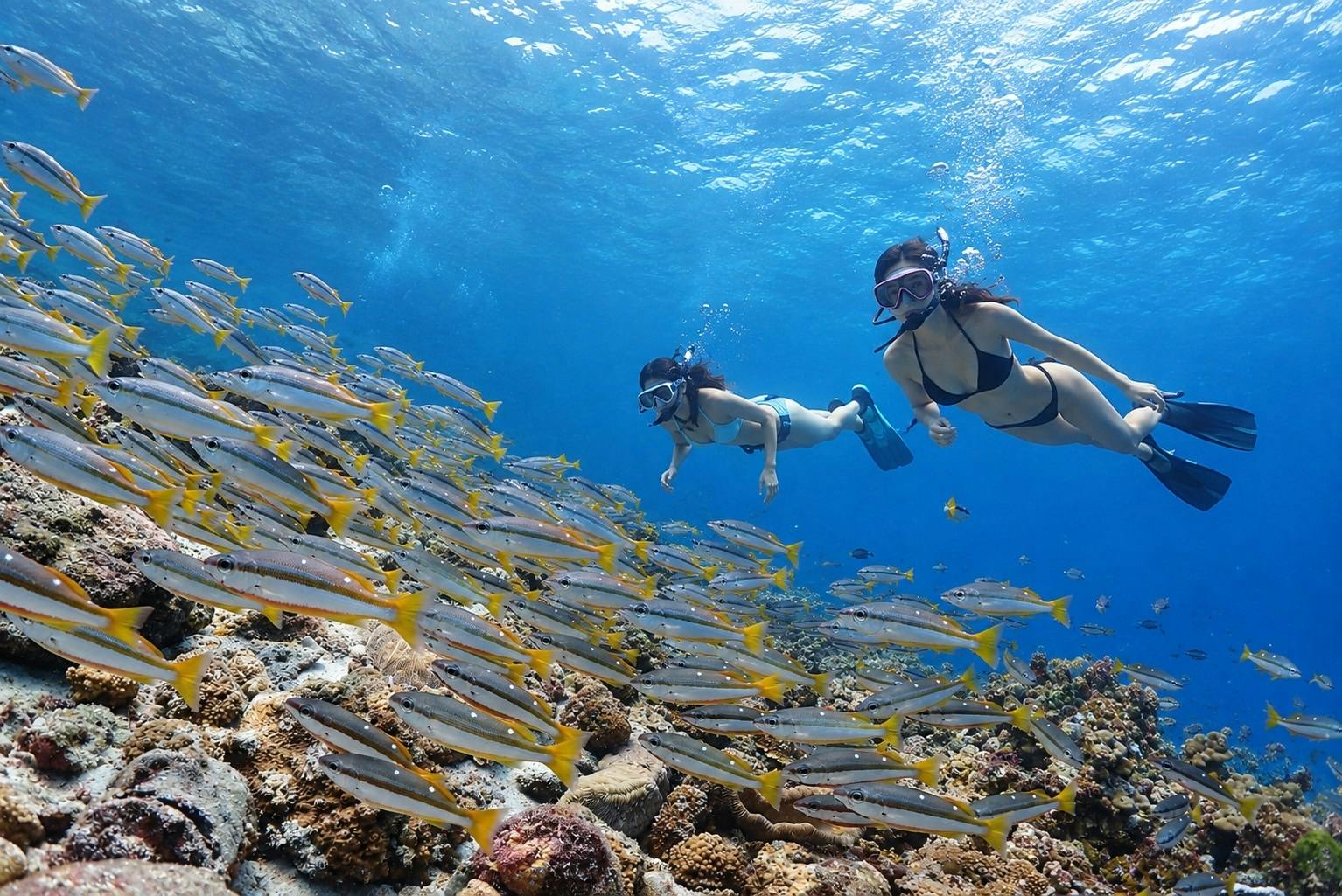 Full-day snorkelling and yacht adventure in Racha Island