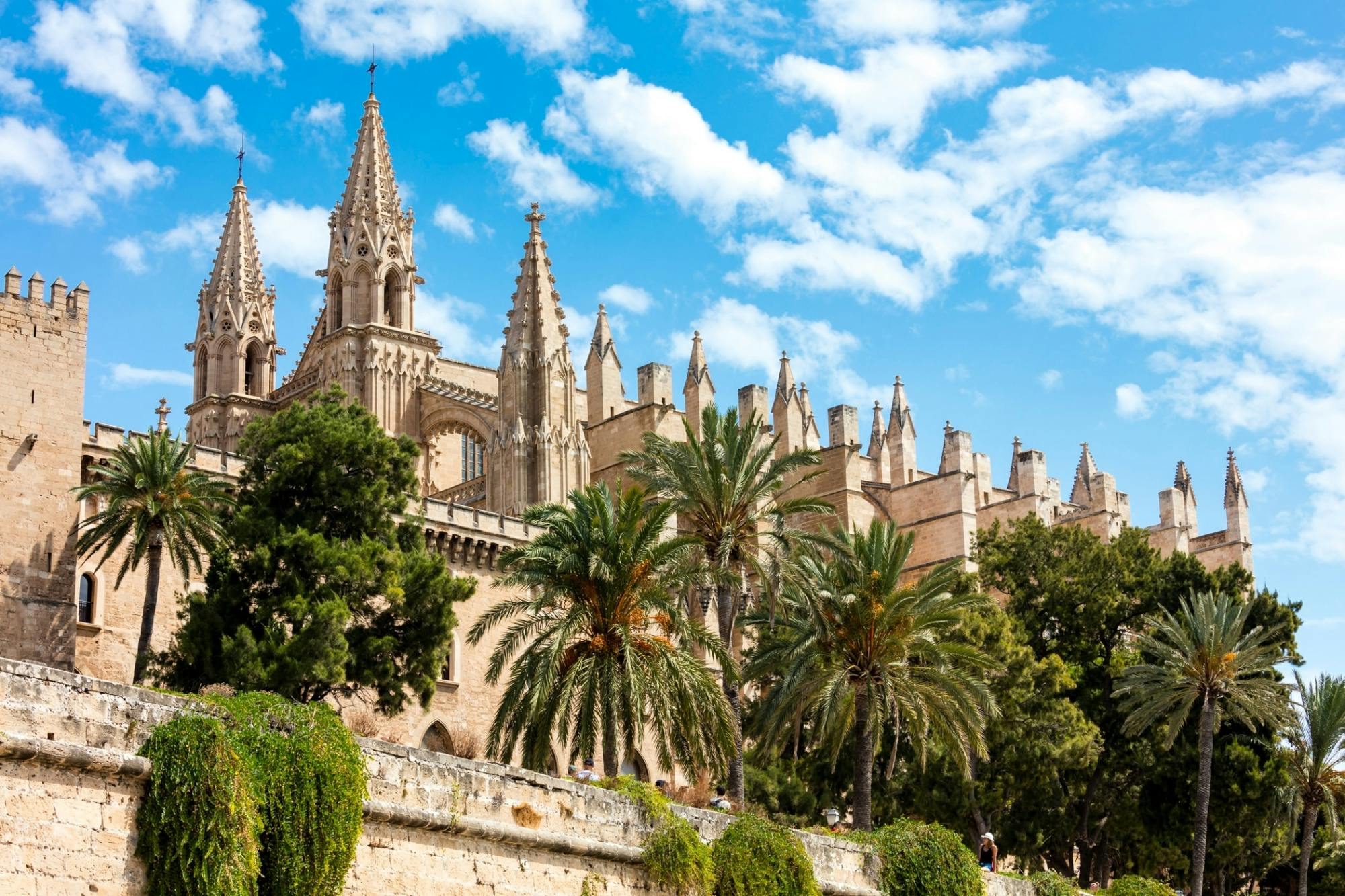 Palma tours with cathedral and Valldemossa options in Polish