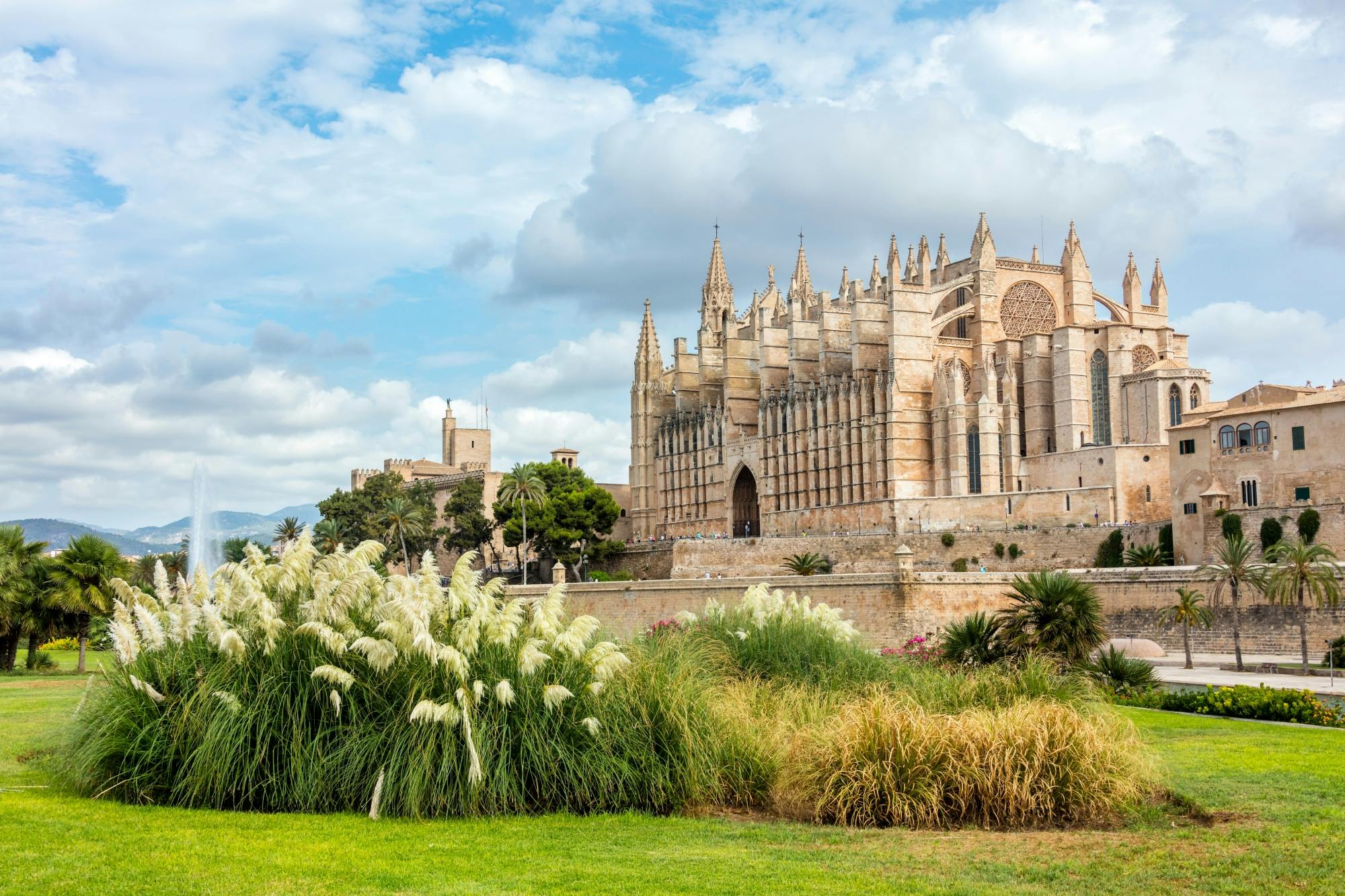 Palma tours with cathedral and Valldemossa options in Polish