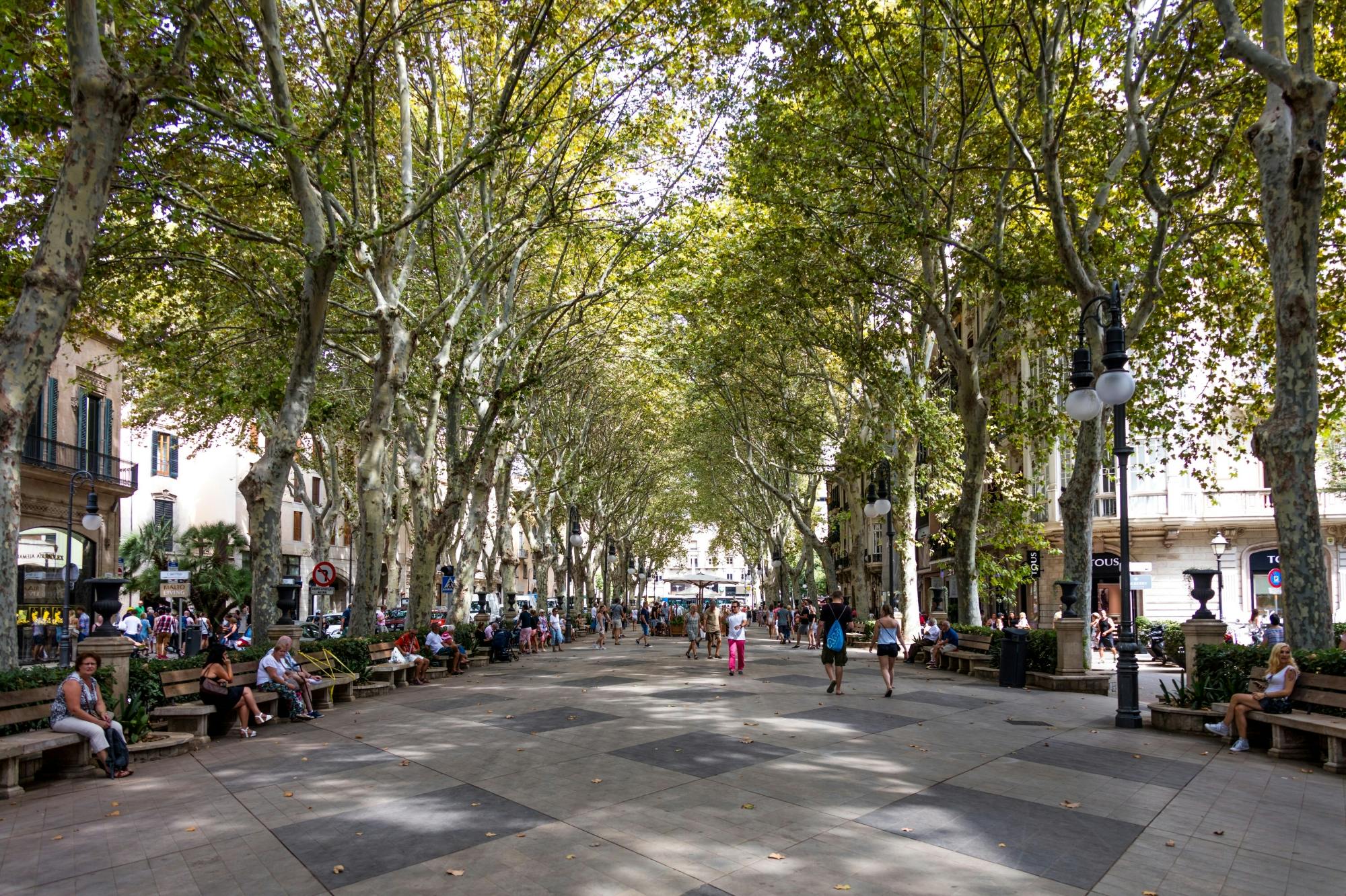 Palma tours with cathedral and Valldemossa options in Polish