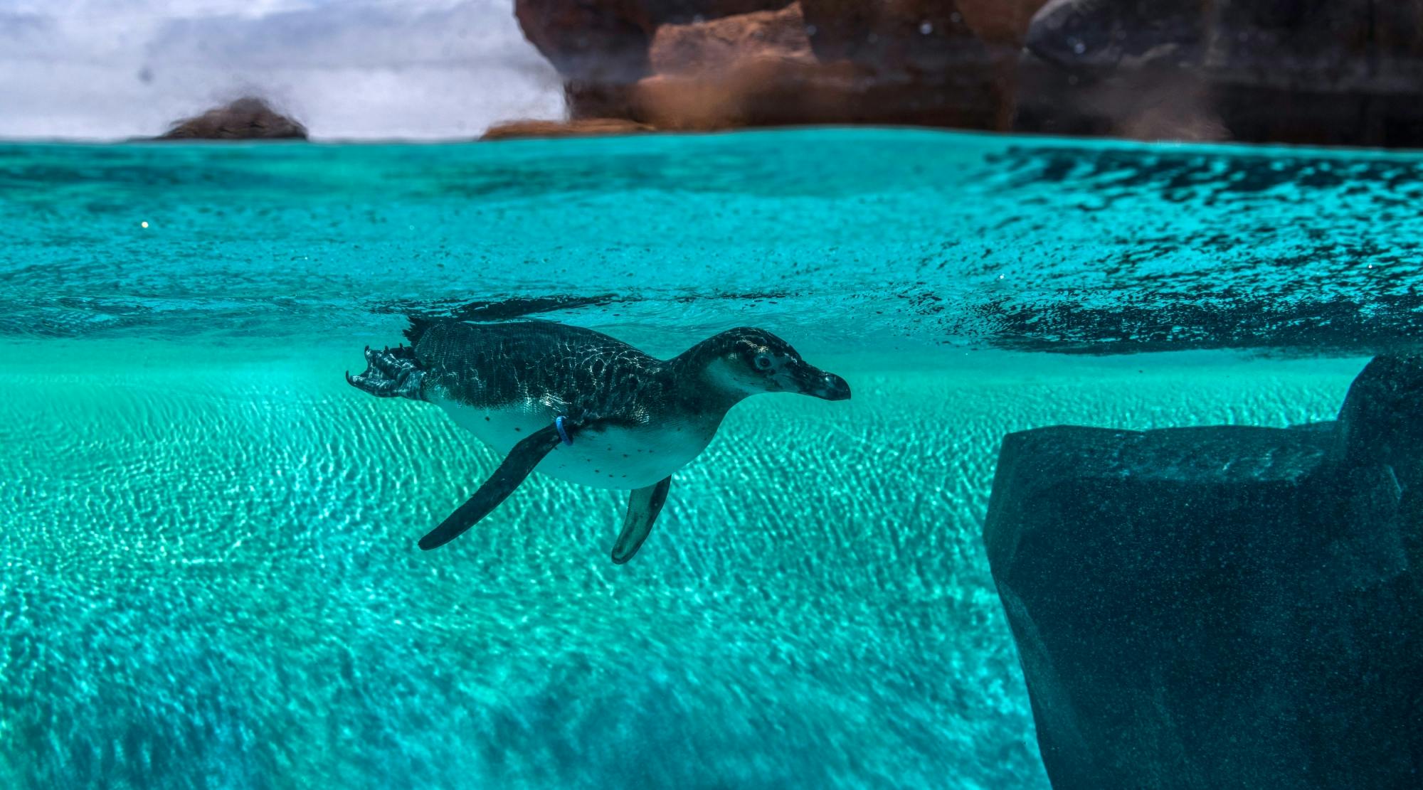 3PC_Lanzarote_Rancho_Texas_Entrance_7.jpg