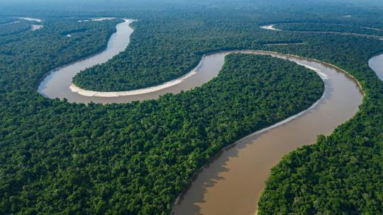 Amazon full-day jungle safari from Iquitos