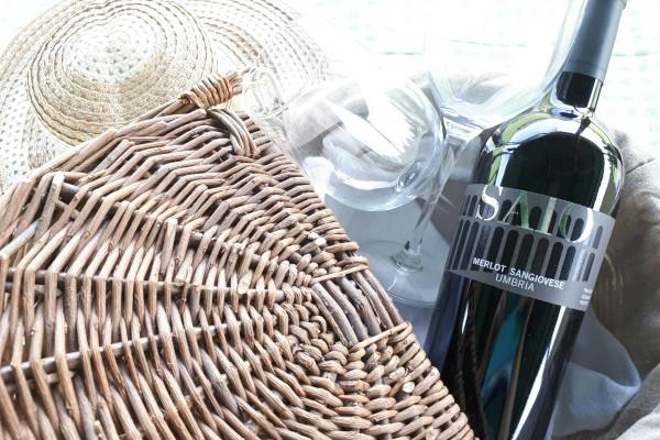 Picnic nel vigneto di Assisi e degustazione di vini