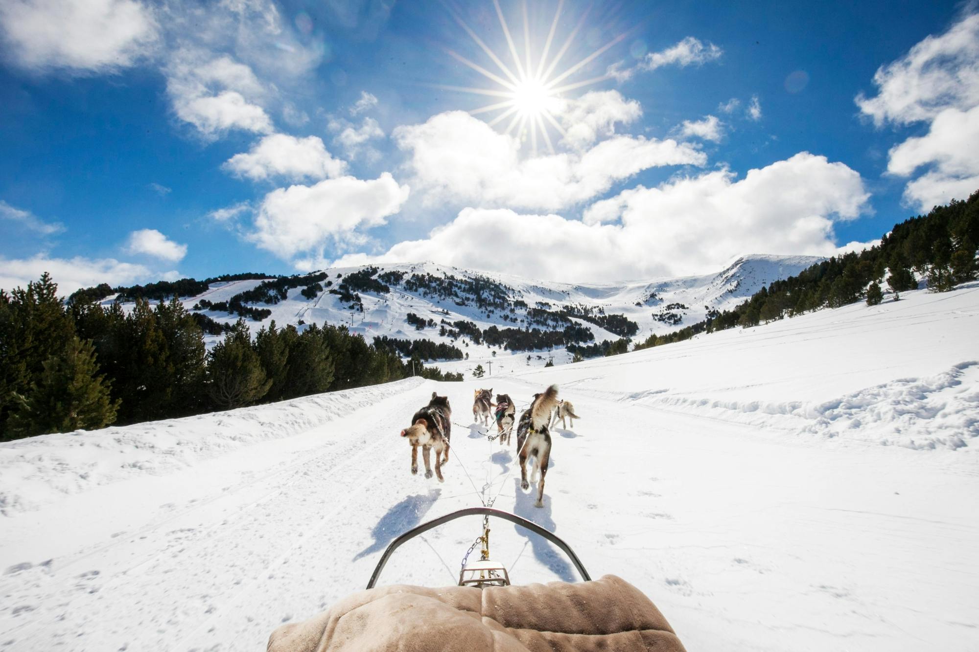 El Tarter area husky sleigh ride experience
