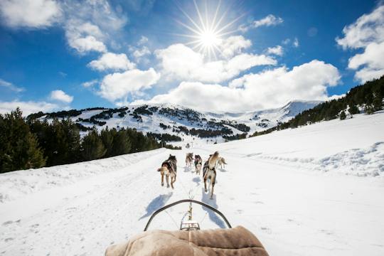 El Tarter area husky sleigh ride experience