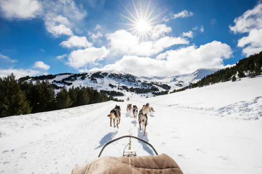 Experiencia de paseo en trineo tirado por huskies en la zona de El Tarter