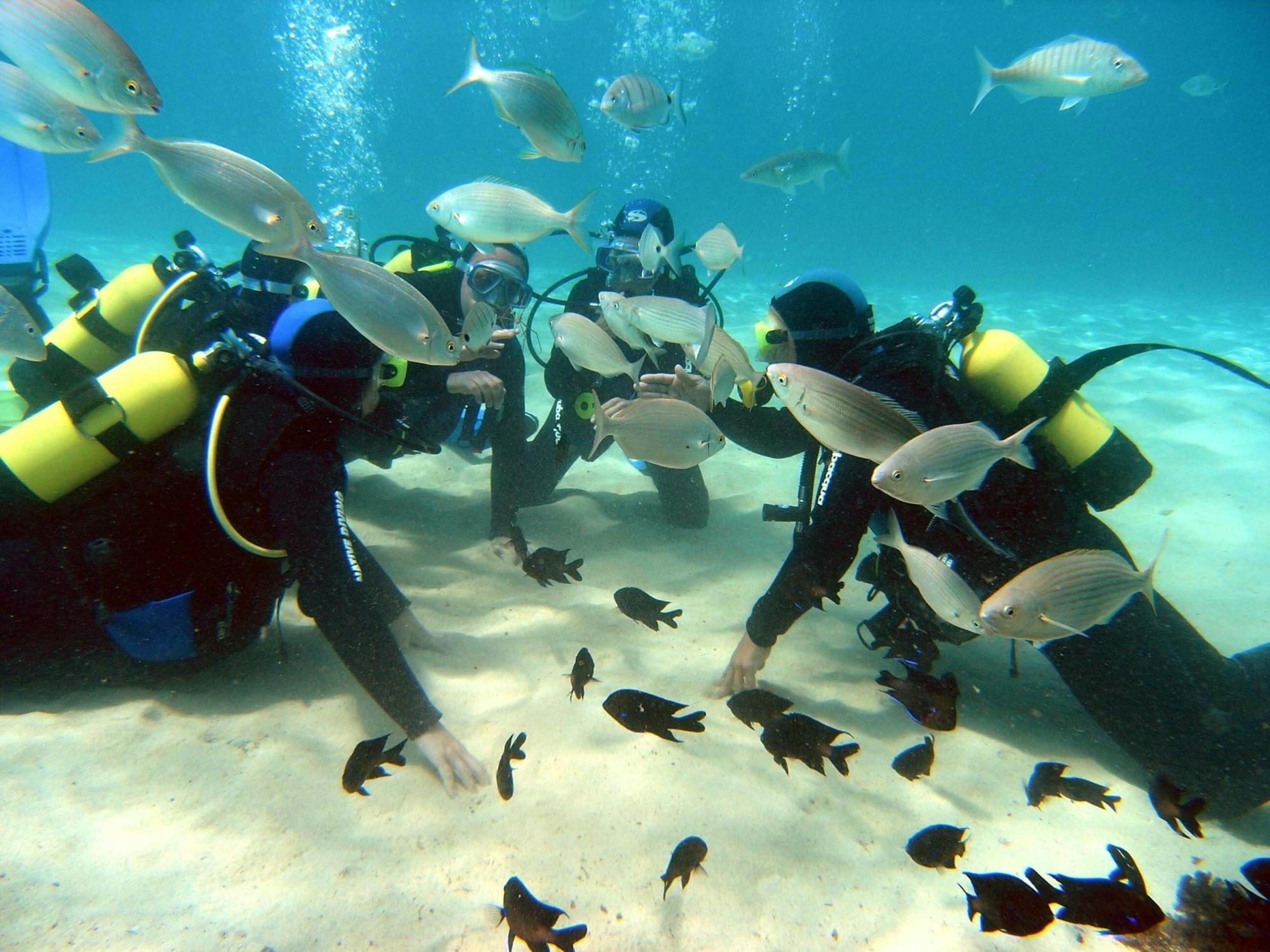 Native Diving Learning – podwójne nurkowanie próbne