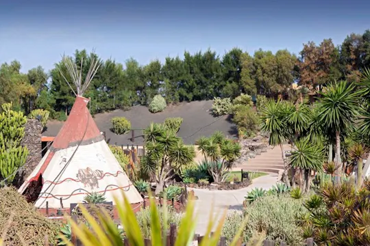 Rancho Texas Park with transport and optional lunch