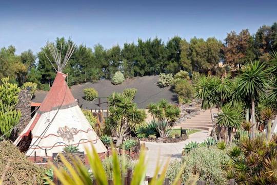 Rancho Texas Park with transport and optional lunch