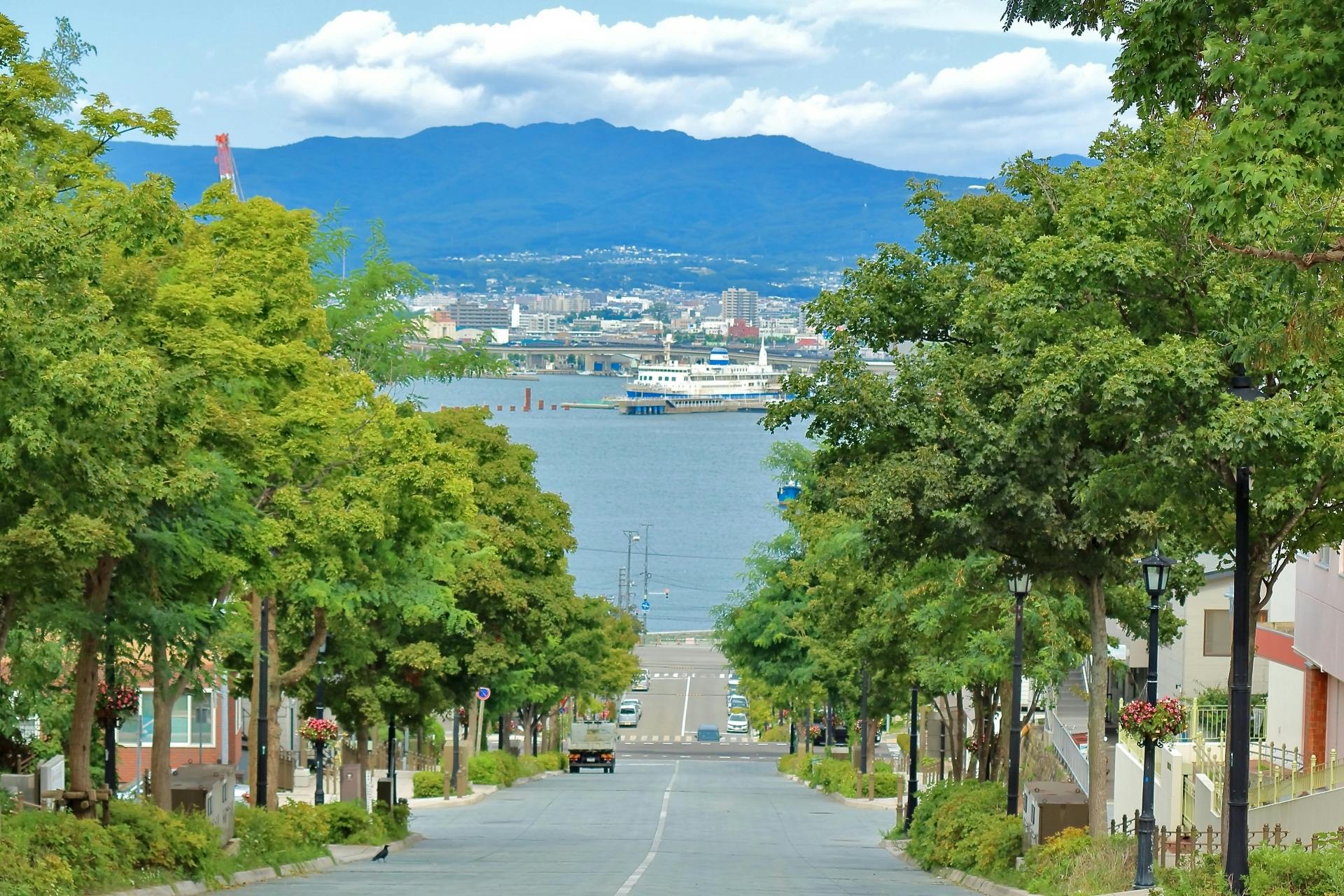 Private Hakodate excursion with Mount Hakodate and Goryokaku