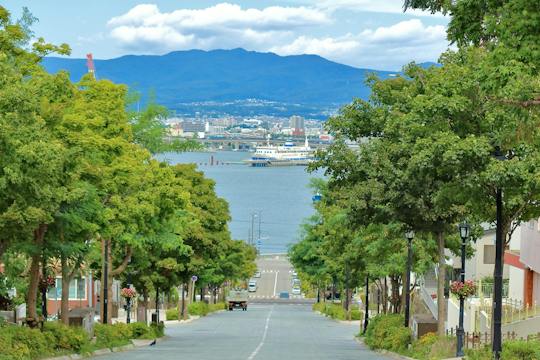 Private Hakodate excursion with Mount Hakodate and Goryokaku