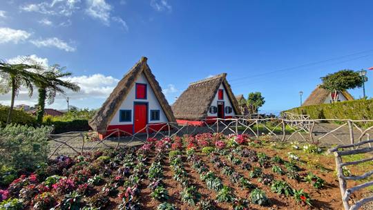 Tour dell'isola di Madeira con tappe a Machico, Porto da Cruz e Santana