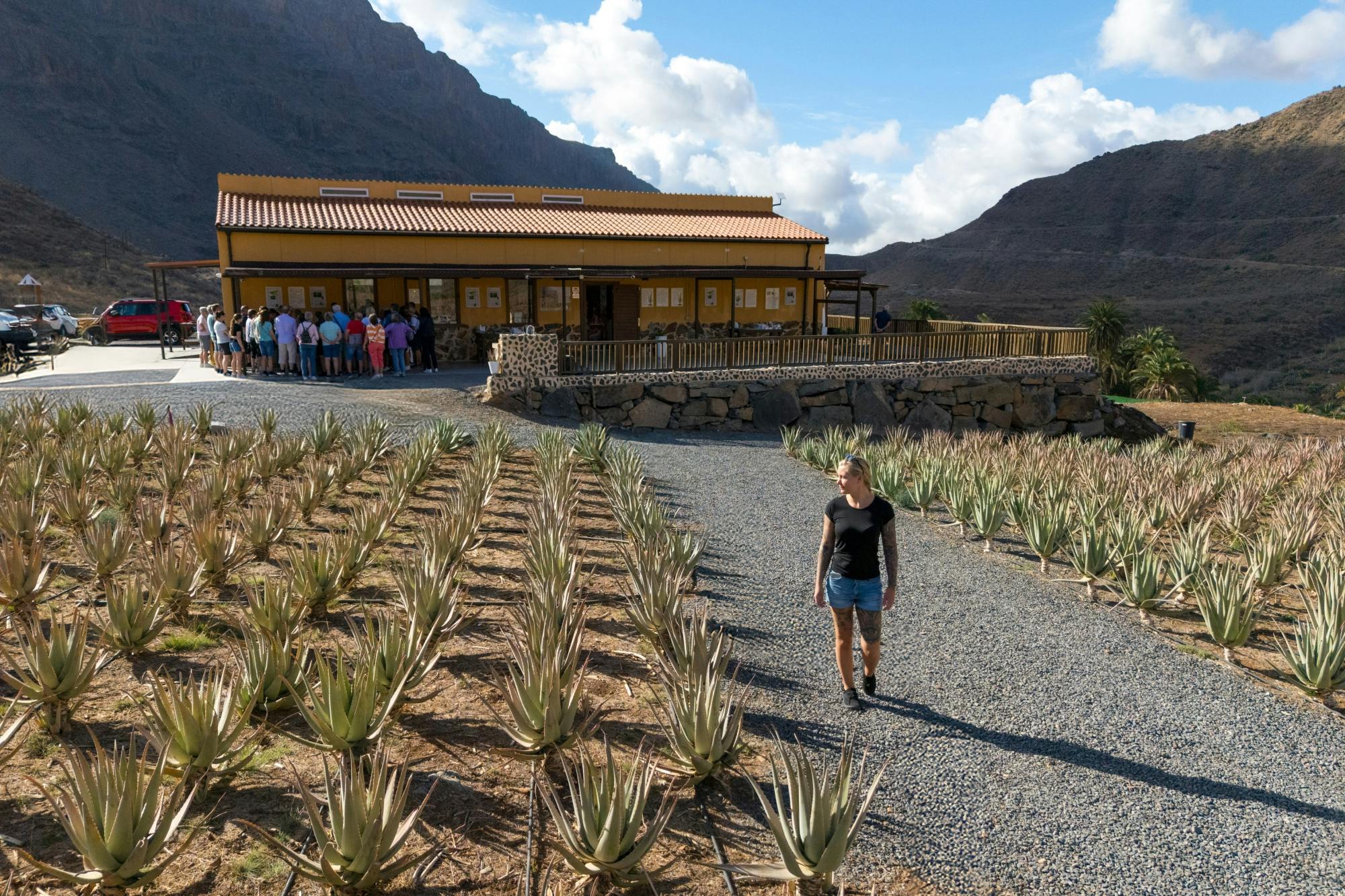 Full-day Teror, Tejeda and Fataga tour with typical Canarian lunch
