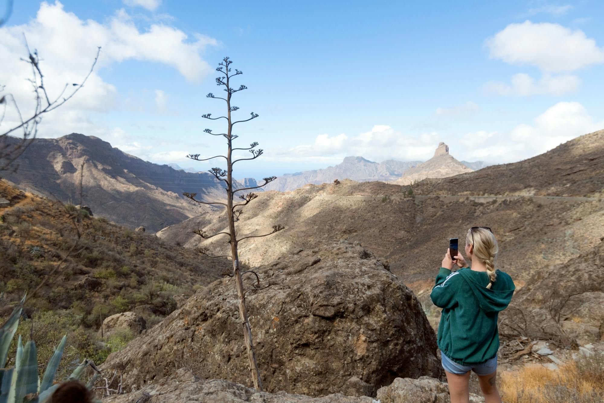 Full-day Teror, Tejeda and Fataga tour with typical Canarian lunch