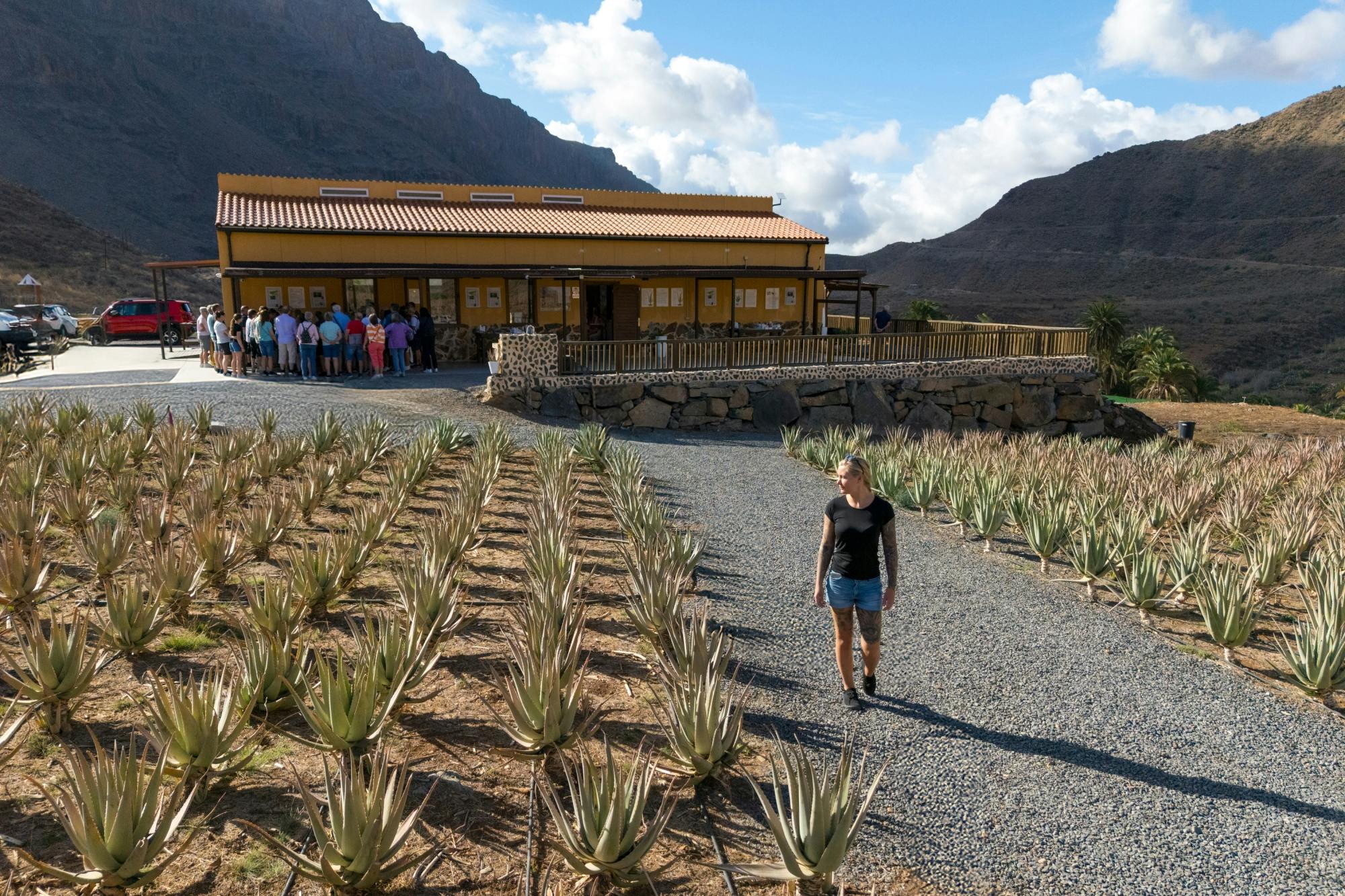Full-day Teror, Tejeda and Fataga tour with typical Canarian lunch