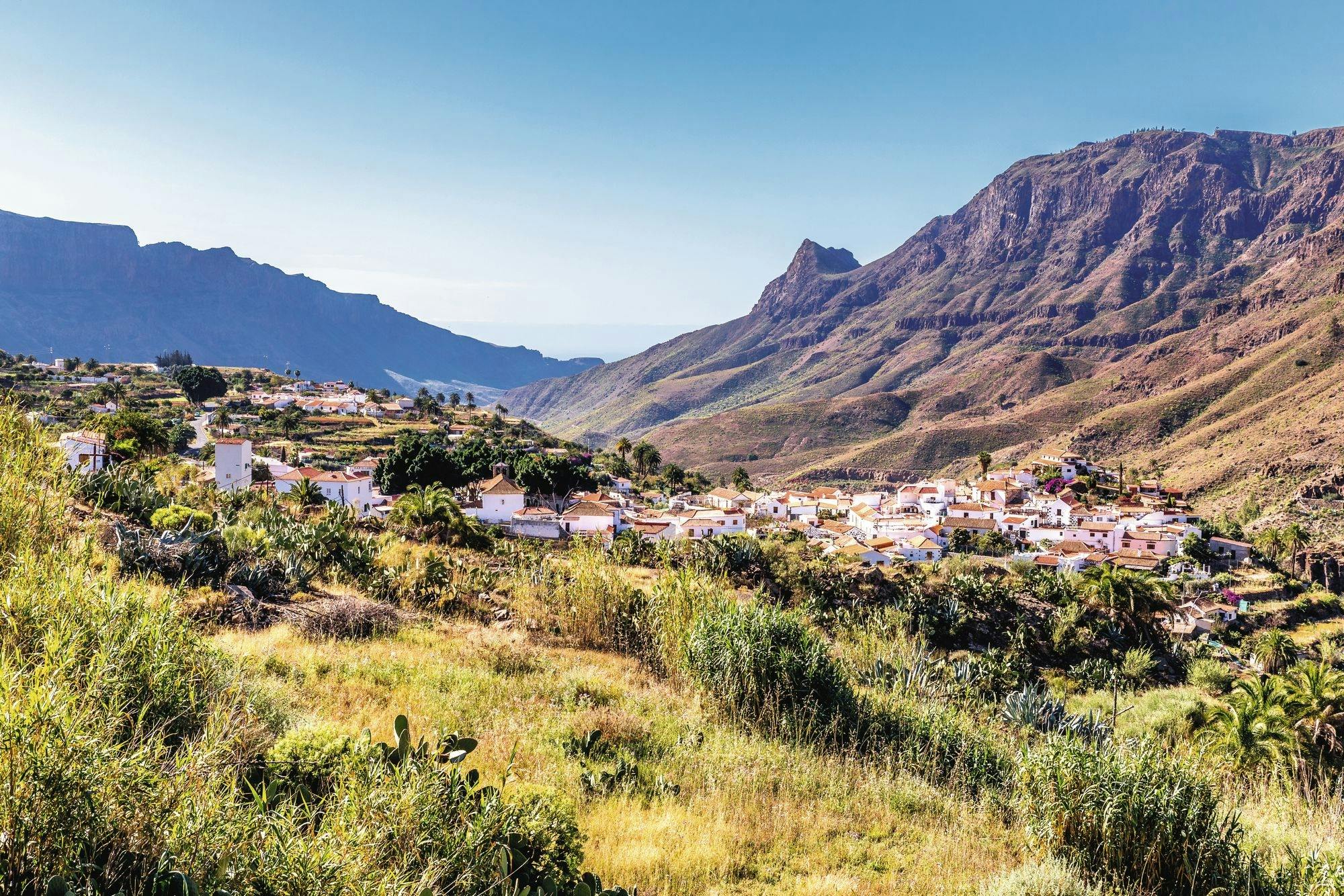 Full-day Teror, Tejeda and Fataga tour with typical Canarian lunch