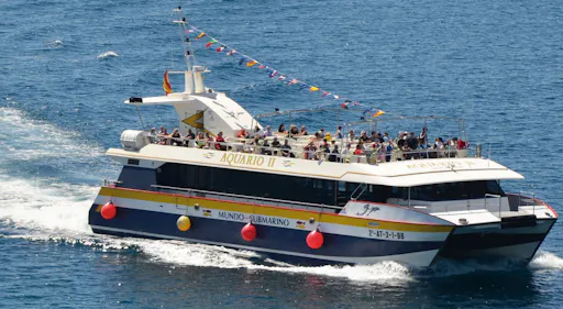 Benidorm Island boat trip ticket