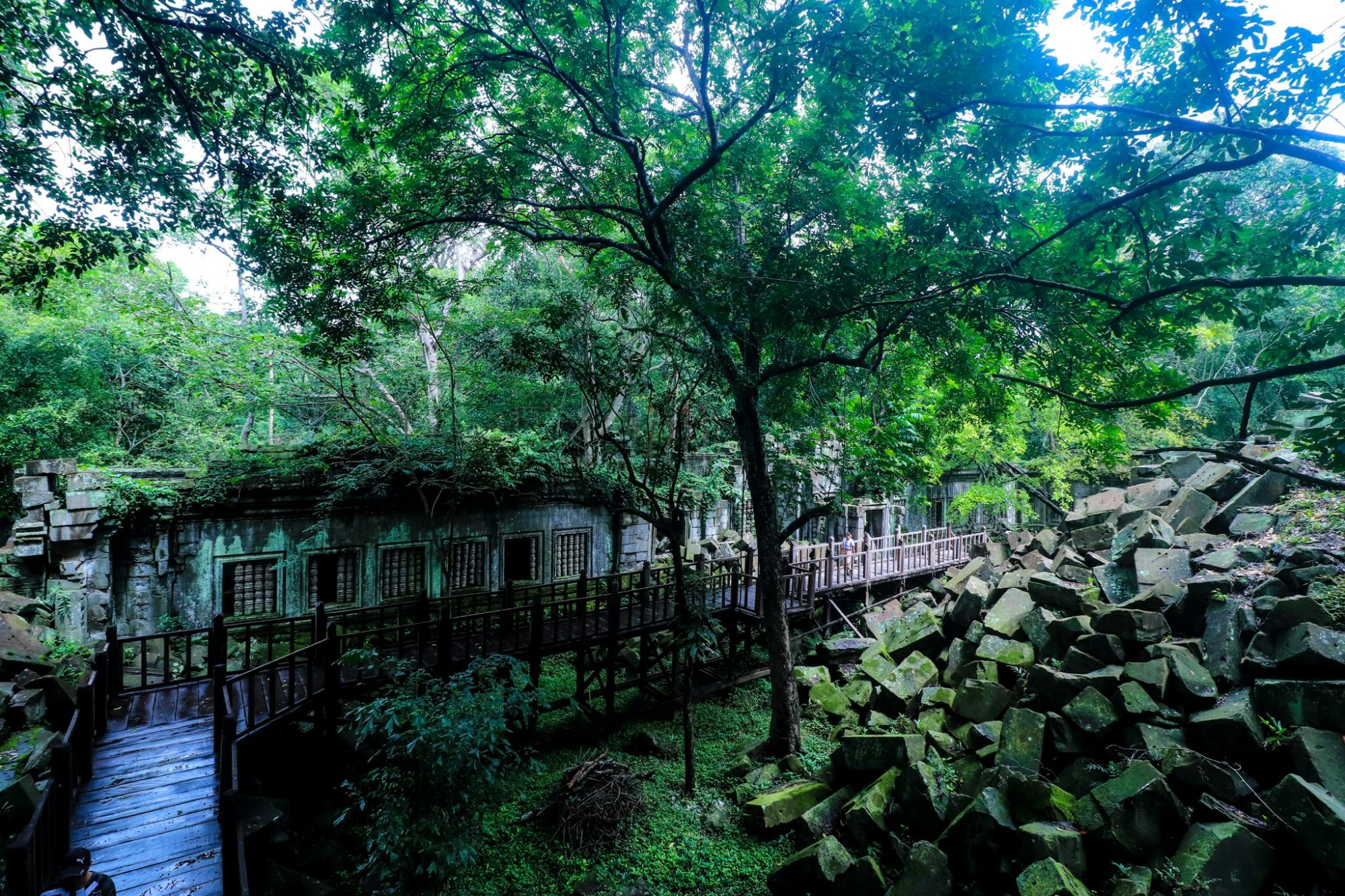 202609166aaa163596e1a.jpg