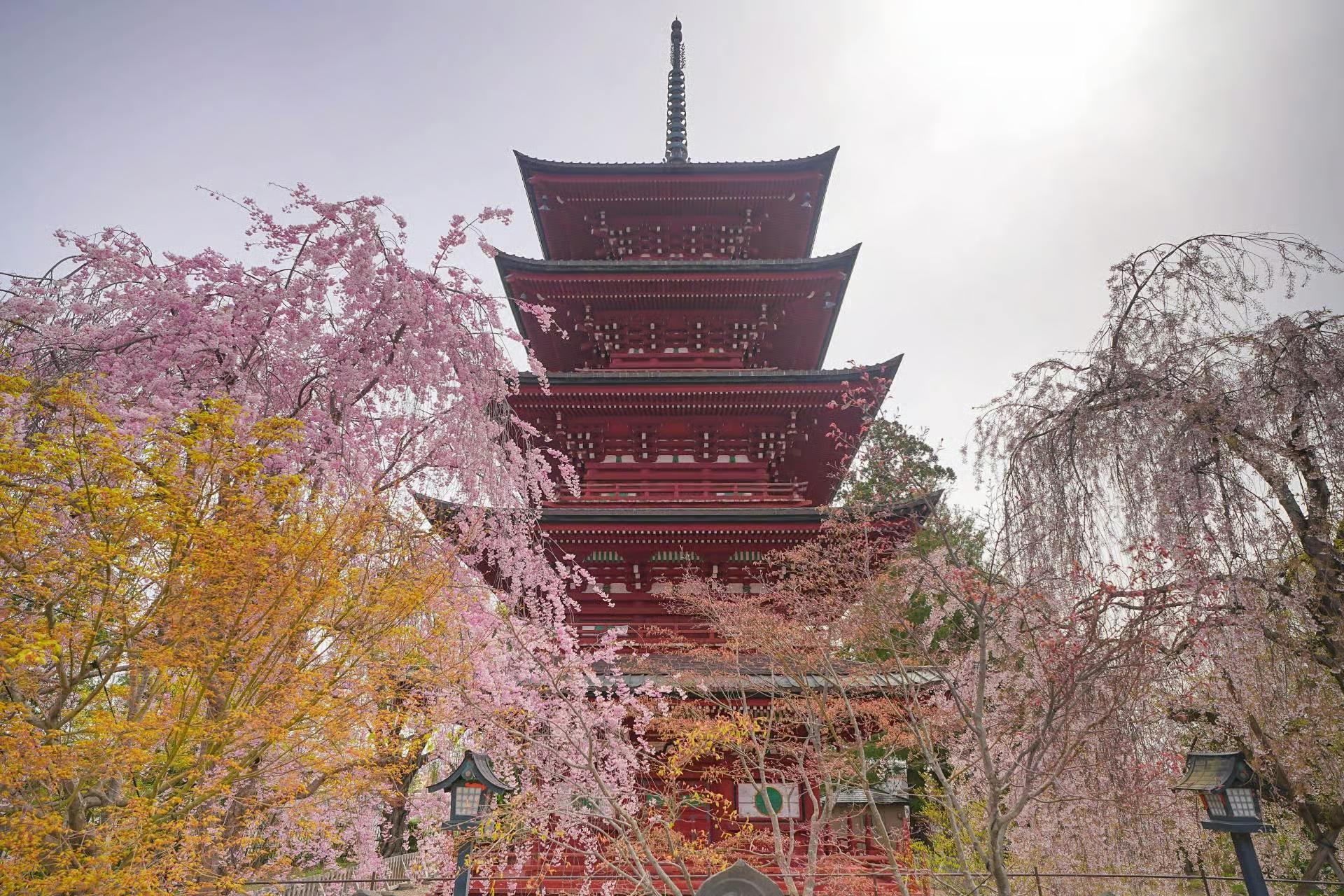 202609166aaa496ed1aae.png