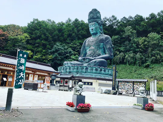 Private Aomori excursion with Great Buddha and Nebuta Museum