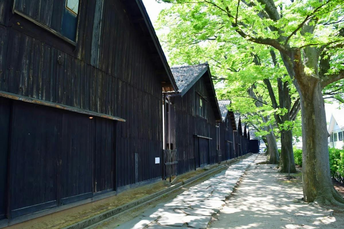 Privé-excursie langs de kust van Sakata met audiogids