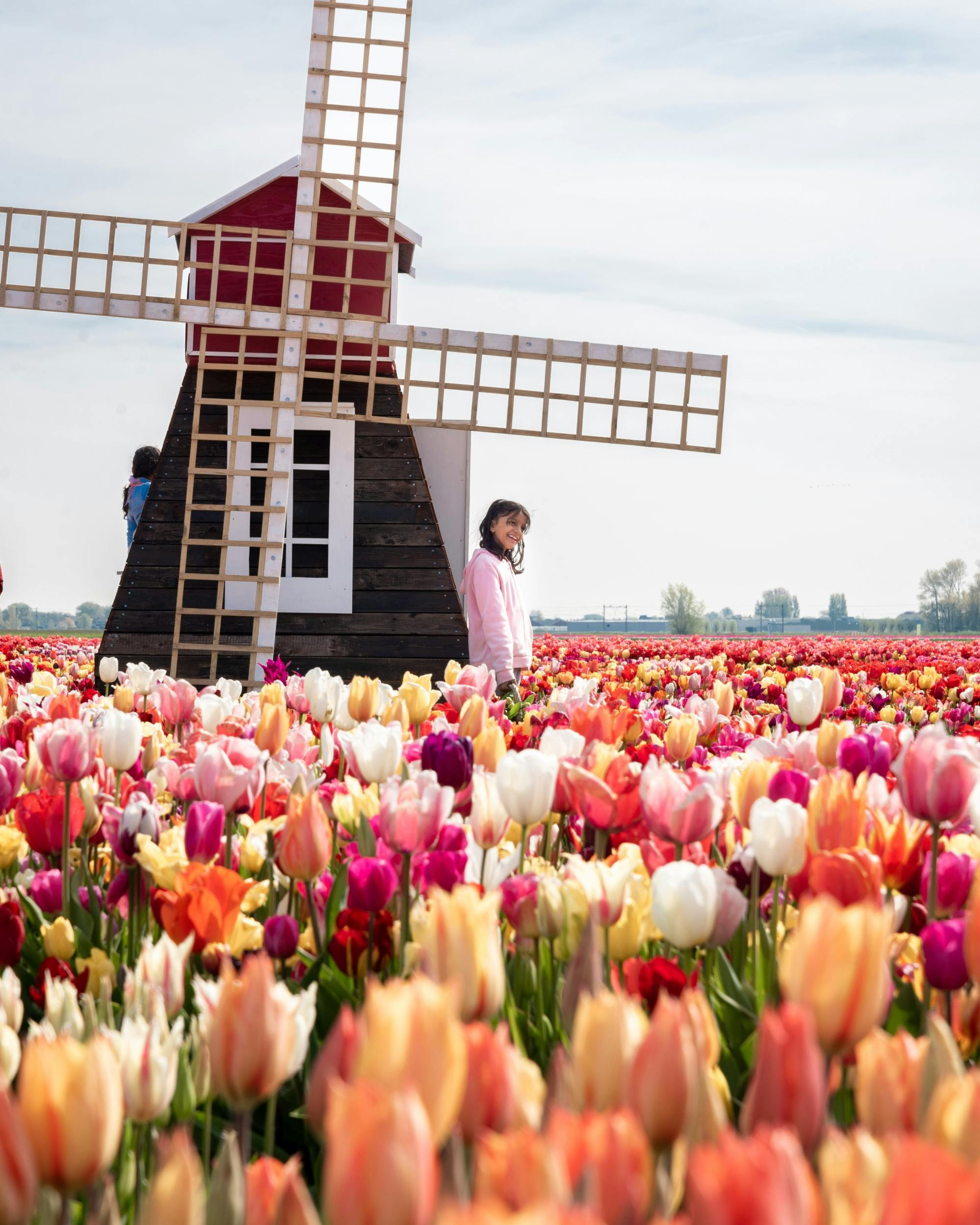 Experiência de Tulipas em Amesterdão com Museu e Jardim de Exposição de Tulipas