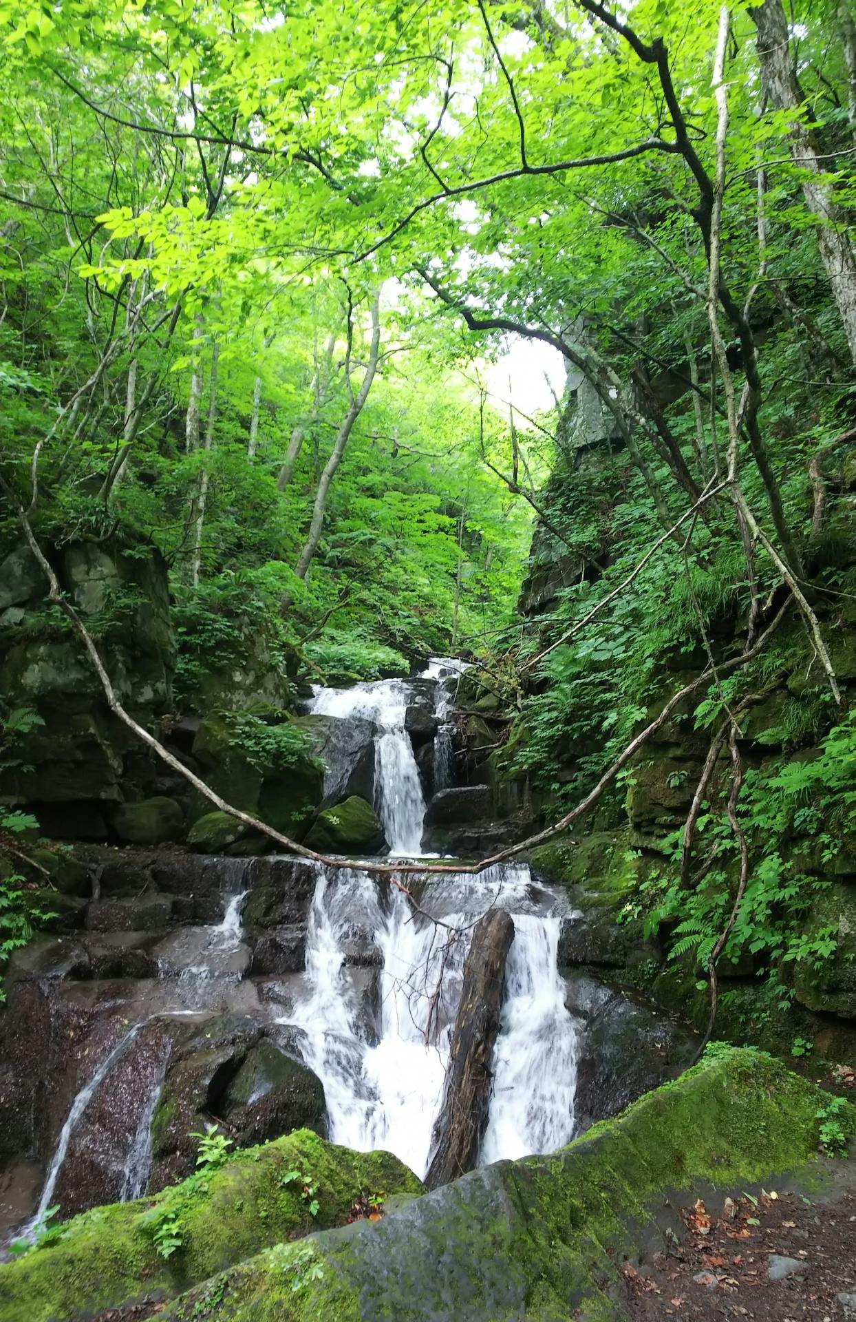202609176aab5ab271874.jpg