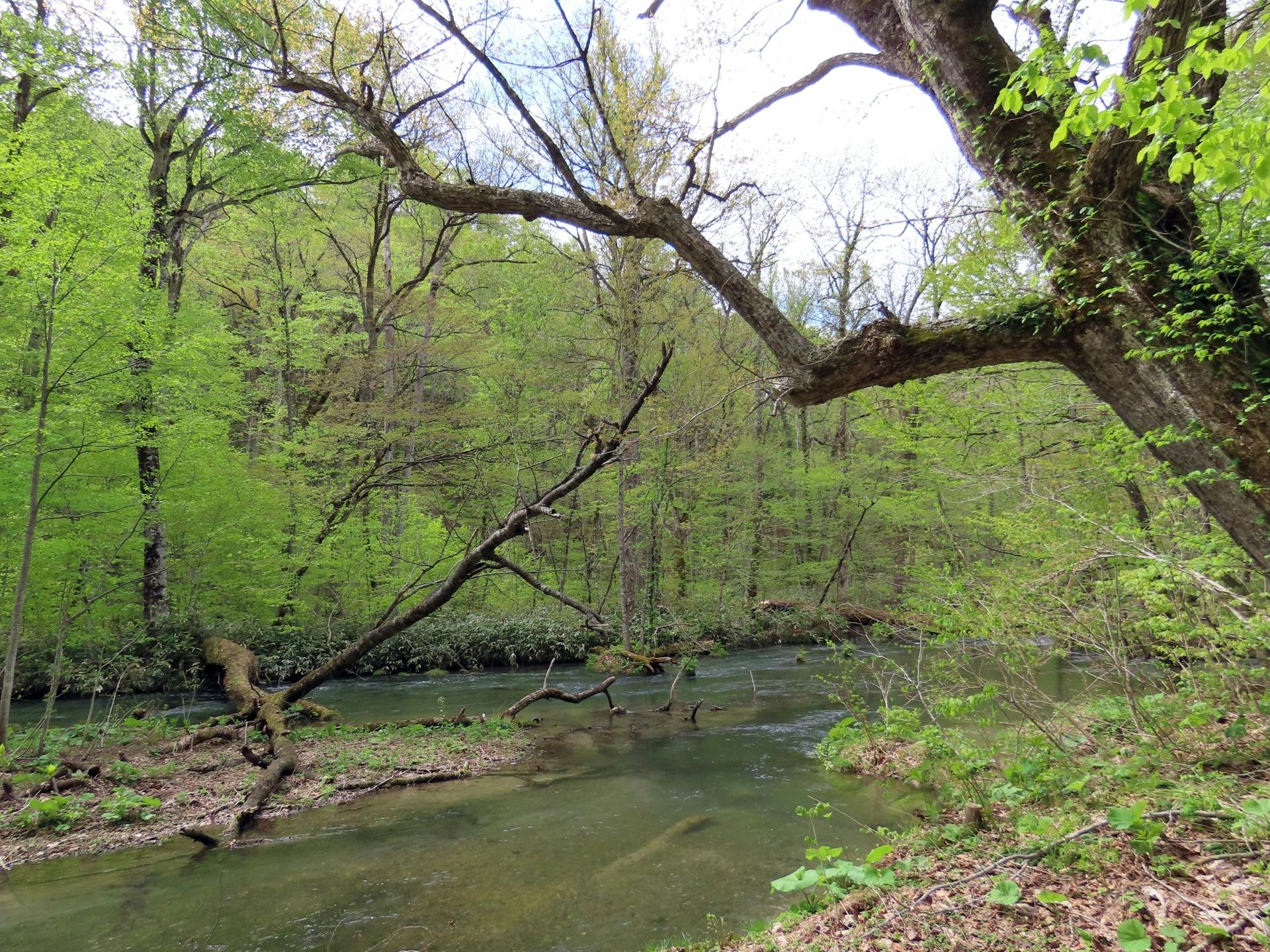 202609176aab5ab336835.jpg