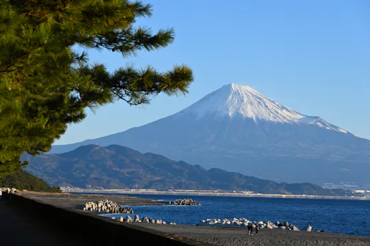 Visite privée de Shimizu avec vue sur le mont Fuji et le sanctuaire de Kunozan