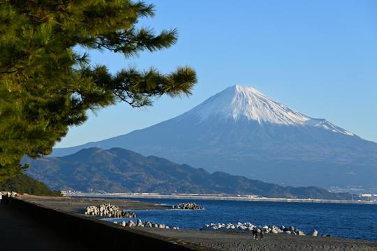 Private Tour durch Shimizu mit Ausblicken auf den Fuji und den Kunozan-Schrein