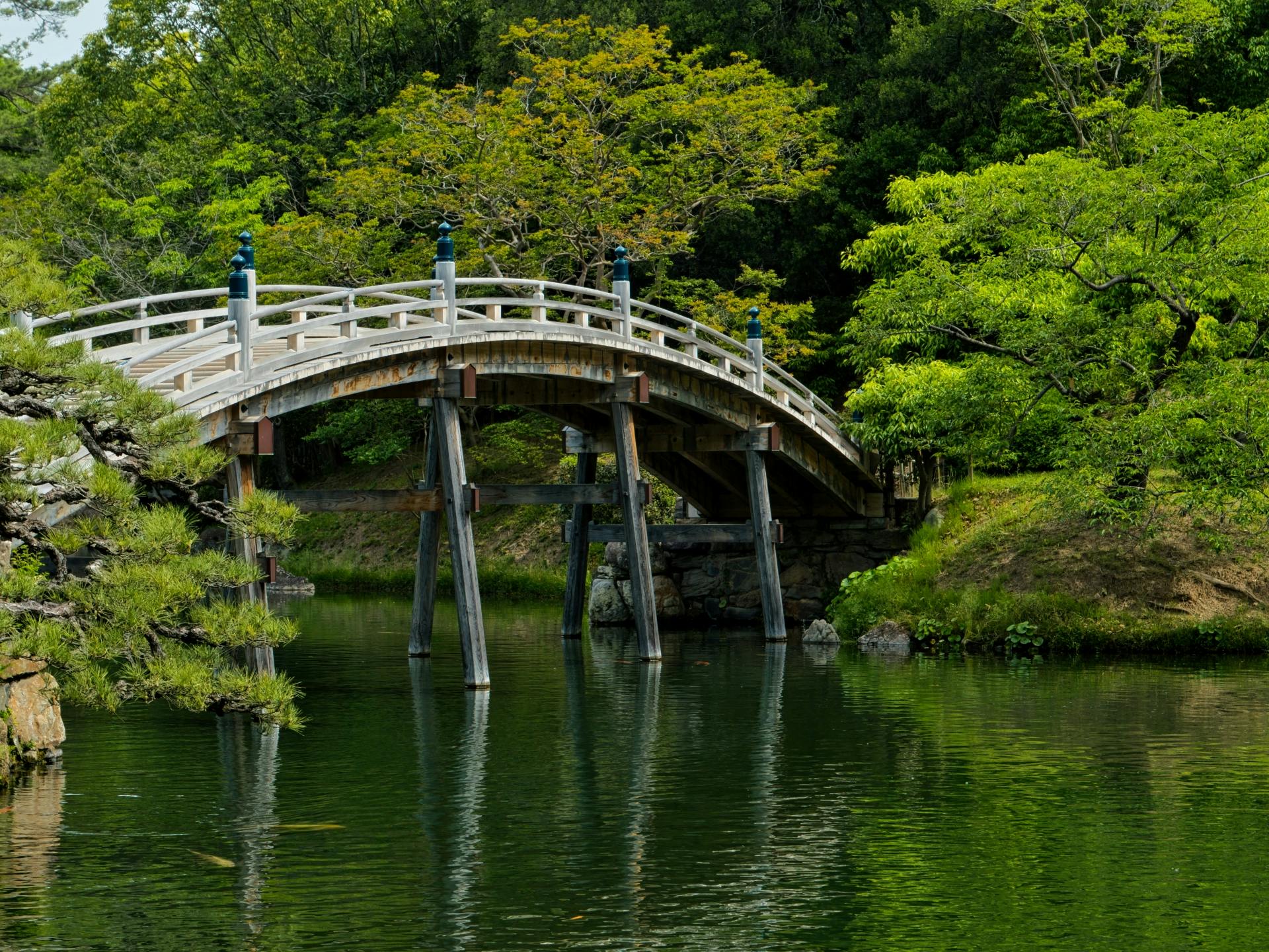 Excursão privada a Takamatsu com visita ao Jardim Ritsurin e ao Kotohira-gu