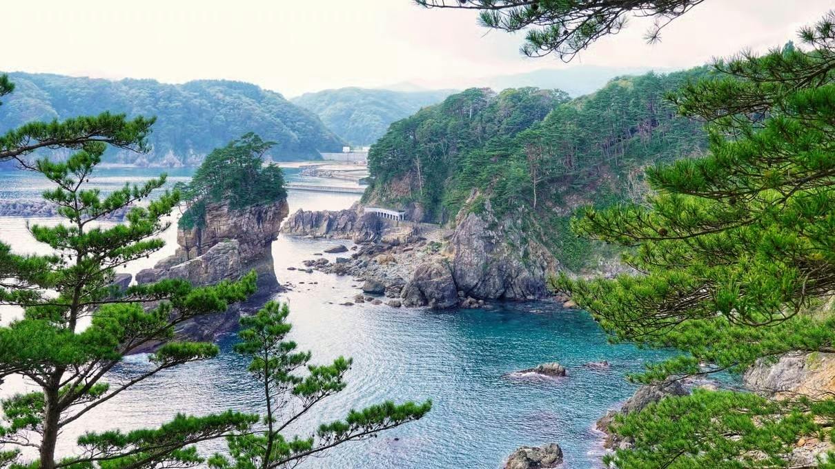 Miyako private shore excursion and Sanriku Coast highlights