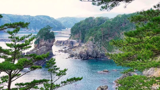 Excursion privée à Miyako et les points forts de la côte de Sanriku