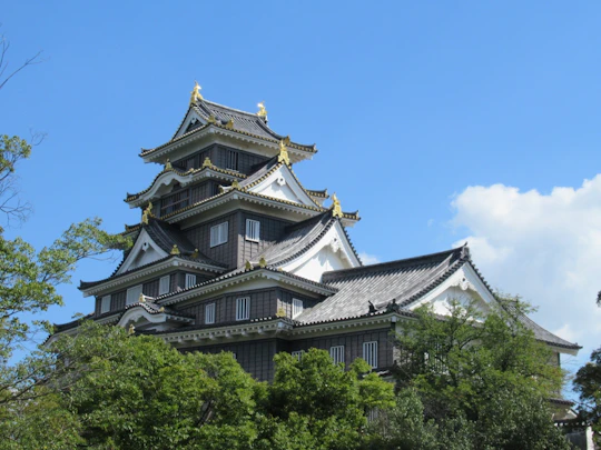 Okayama Castle private tour with Korakuen Garden