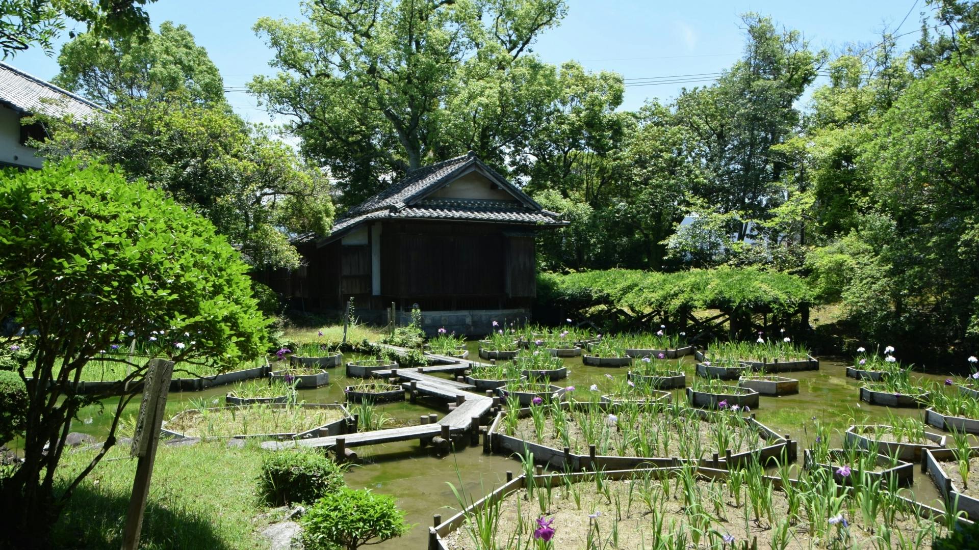 Private Tour durch Yatsushiro mit Besuch des Yatsushiro-Schreins und des Shohinken