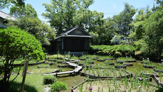 Yatsushiro private tour with Yatsushiro Shrine and Shohinken