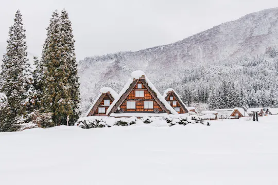Visita guidata di un giorno a Shirakawago e Kanazawa da Kyoto