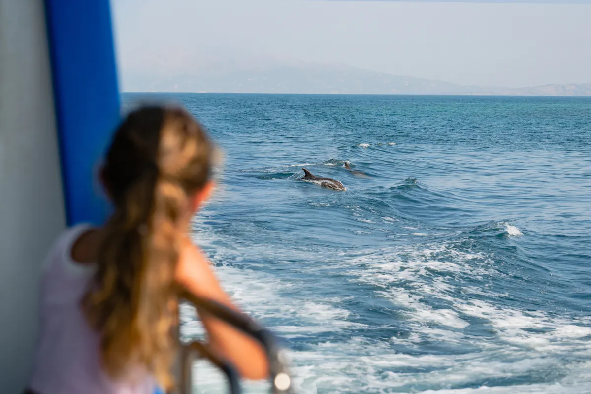 Boat trip from Corfu to Sivota with local lunch, Blue Lagoon and optional transfers