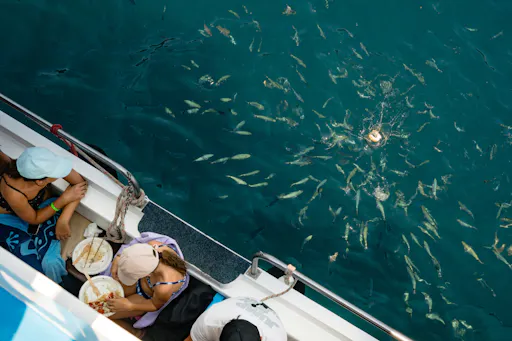 Corfu Blue Caves cruise with swim stops, lunch and optional transfers