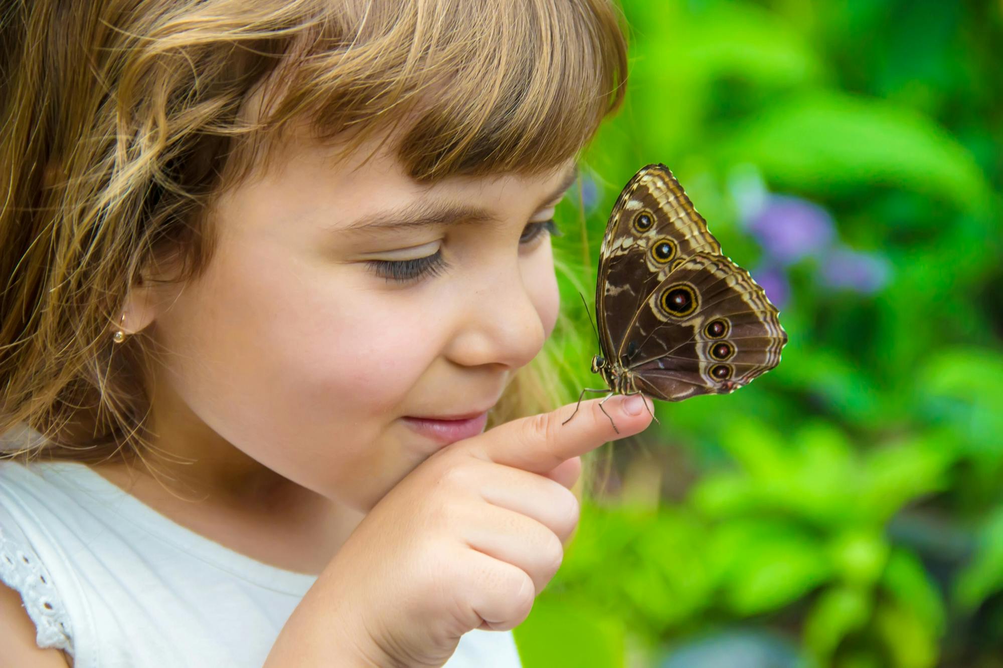 Antalya Butterfly World and Aquarium day out with transfers
