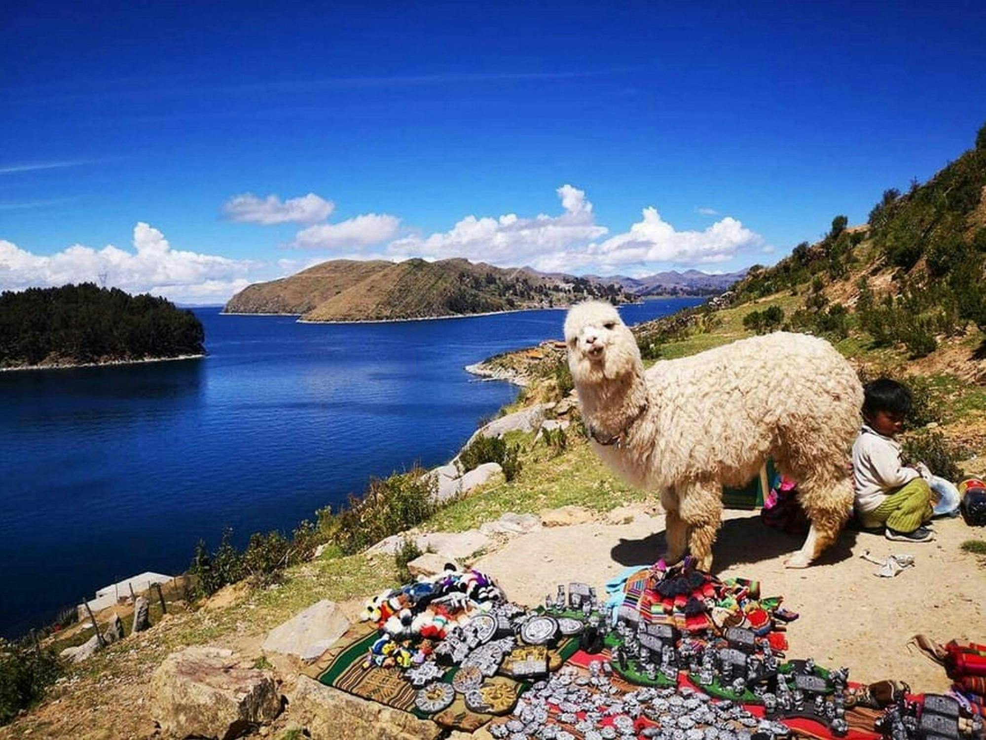 Copacabana and Isla del Sol guided day trip from La Paz
