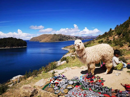 Copacabana and Isla del Sol guided day trip from La Paz